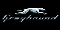 Greyhound