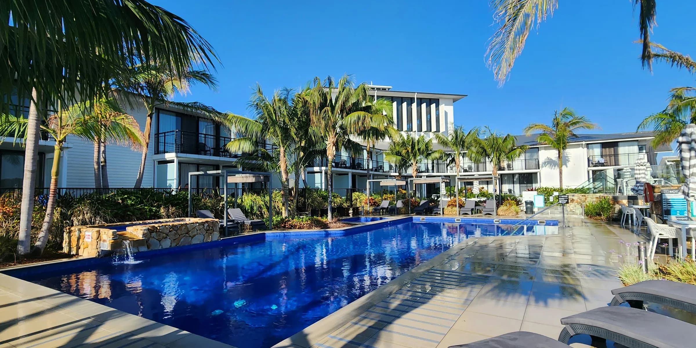 a large swimming pool surrounded by palm trees