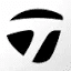 TaylorMade Gold