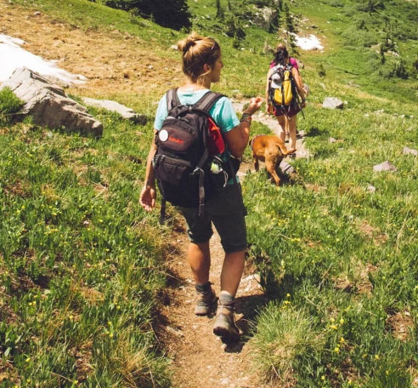 Hiking imagery featuring Newton Ridge BC Boot